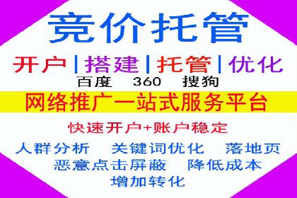 百度竞价代运营公司成功案例分析